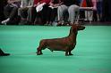 Crufts2011_2 1025